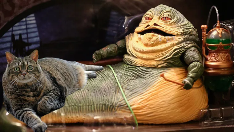 fat cat with jabba the hutt
