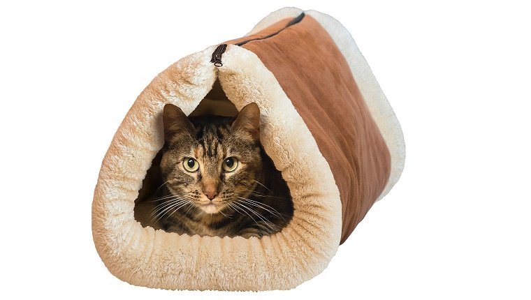 A cat sits in a rolled up, plush cat bed.