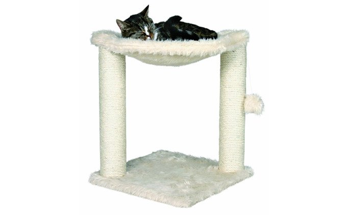best-cat-bed-toy