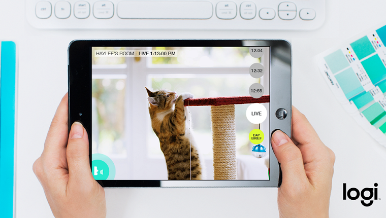 A pair of hands holds a tablet with an image of a cat climbing a scratching post.