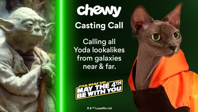 Chewy Casting Call for Yoda Pet Lookalikes