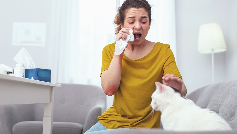 Treat Your Other Allergies First